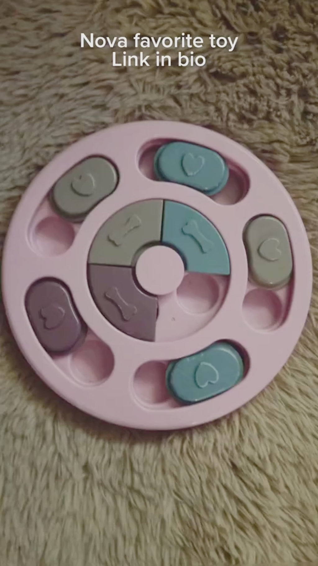 Smart Puzzle Feeder for Happy Dogs