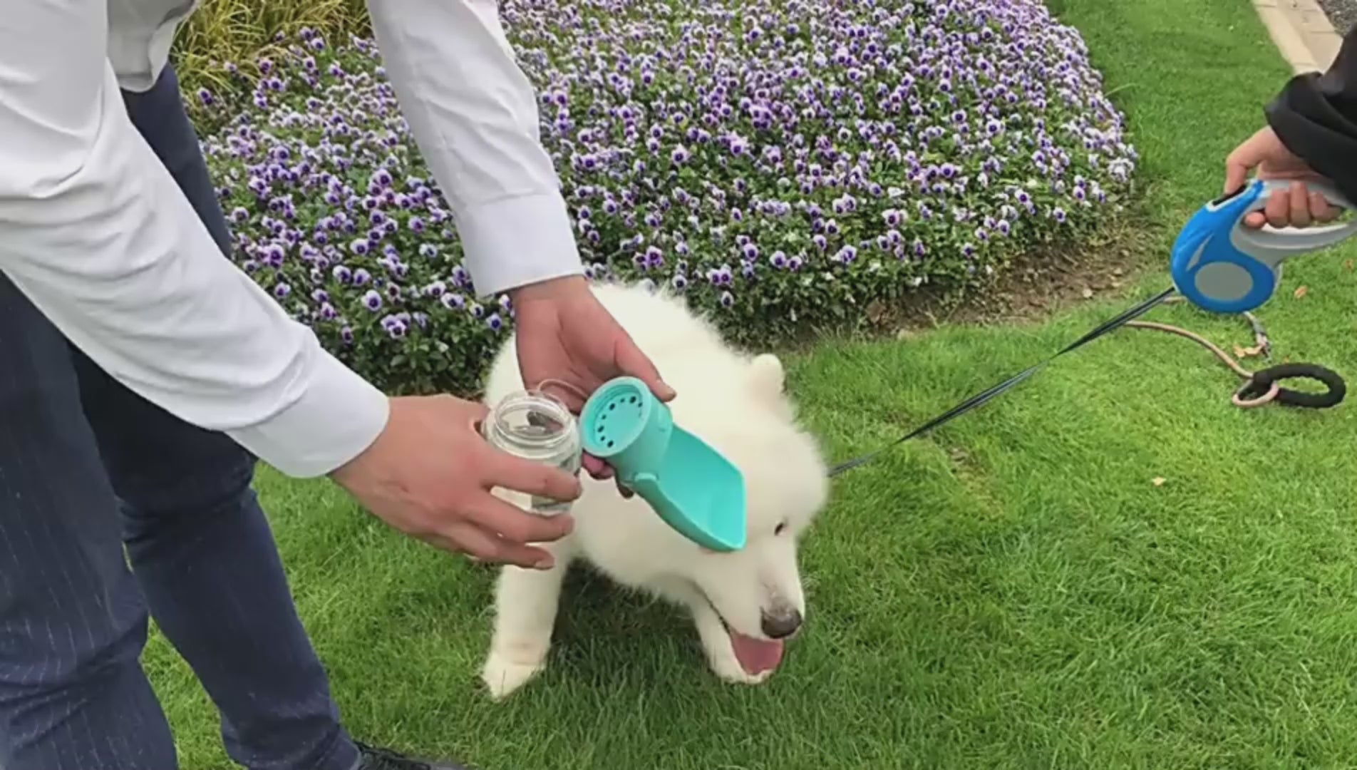 Keep Your Dog Hydrated Anywhere