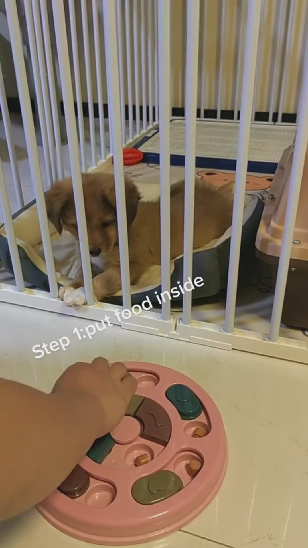 Smart Puzzle Feeder for Happy Dogs