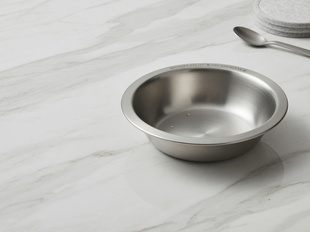 Whisker-Friendly Stainless Steel Feeding Bowl for Cats